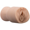 Мастурбатор-вагина Ultraskyn Pocket Pals Dani Daniels